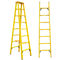 Power Construction Personal Safety Tools Insulation Fiberglass Extension Ladder supplier