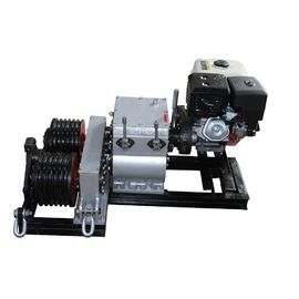 China Diesel Engine Gasoline Powered Winch Electric Cable Double Drum Hoist Winch supplier